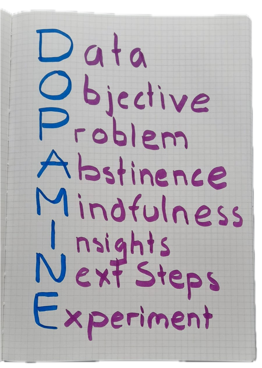 Anna Lembkes DOPAMINE-Framework written in 2 colors