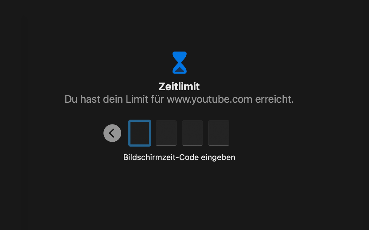 screenshot showing a password protection in order to access youtube