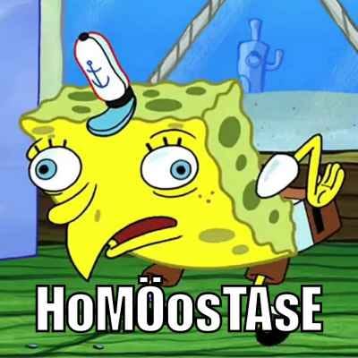 Spongebob Schwammkopf Meme